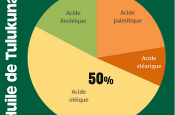 Une huile riche en acide oléique